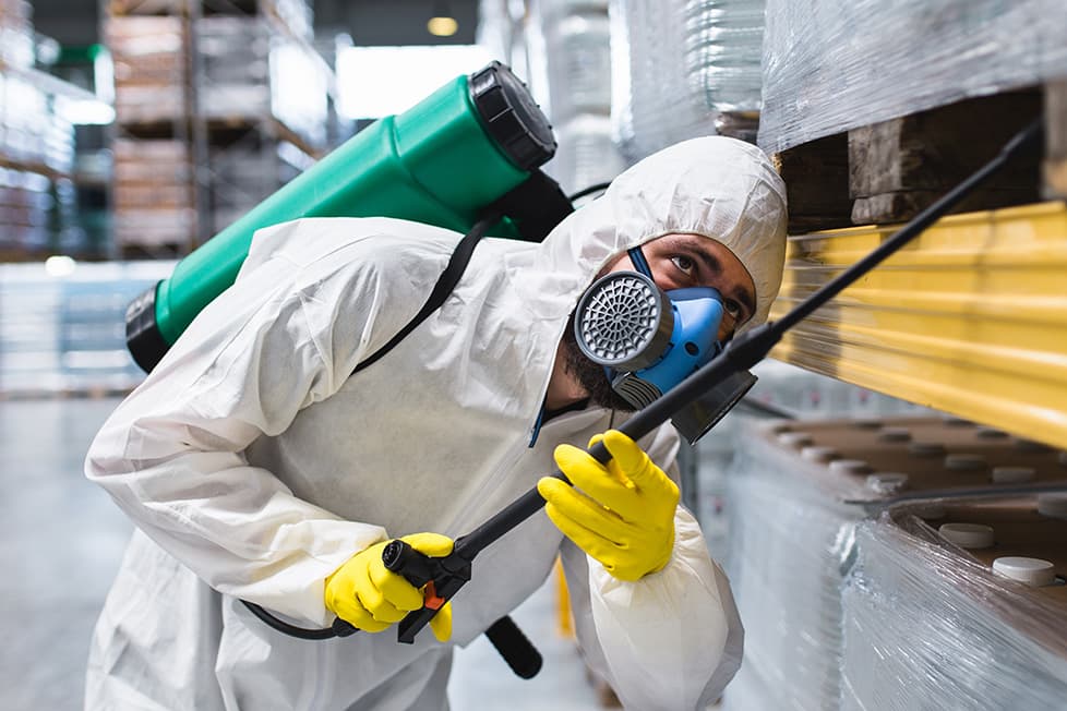 PestKill technician at work